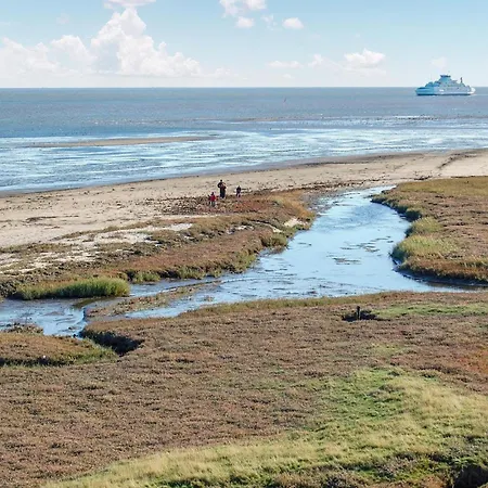 Hollaenderstraedet * Romo